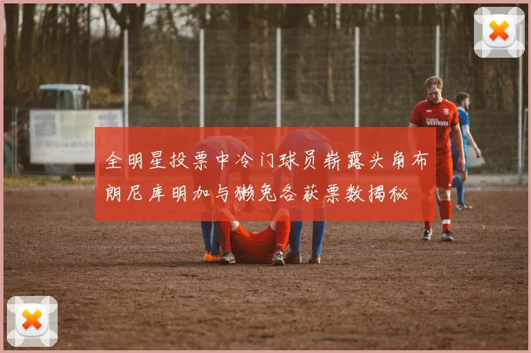 全明星投票中冷门球员崭露头角布朗尼库明加与獭兔各获票数揭秘