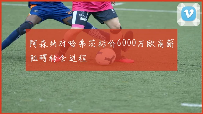 阿森纳对哈弗茨标价6000万欧高薪阻碍转会进程